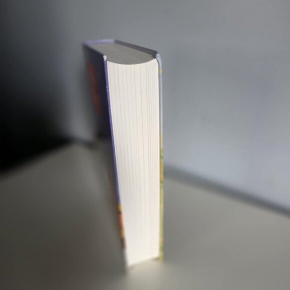 Children's Edition Illustrated Holy Bible - Picture 2 of 5